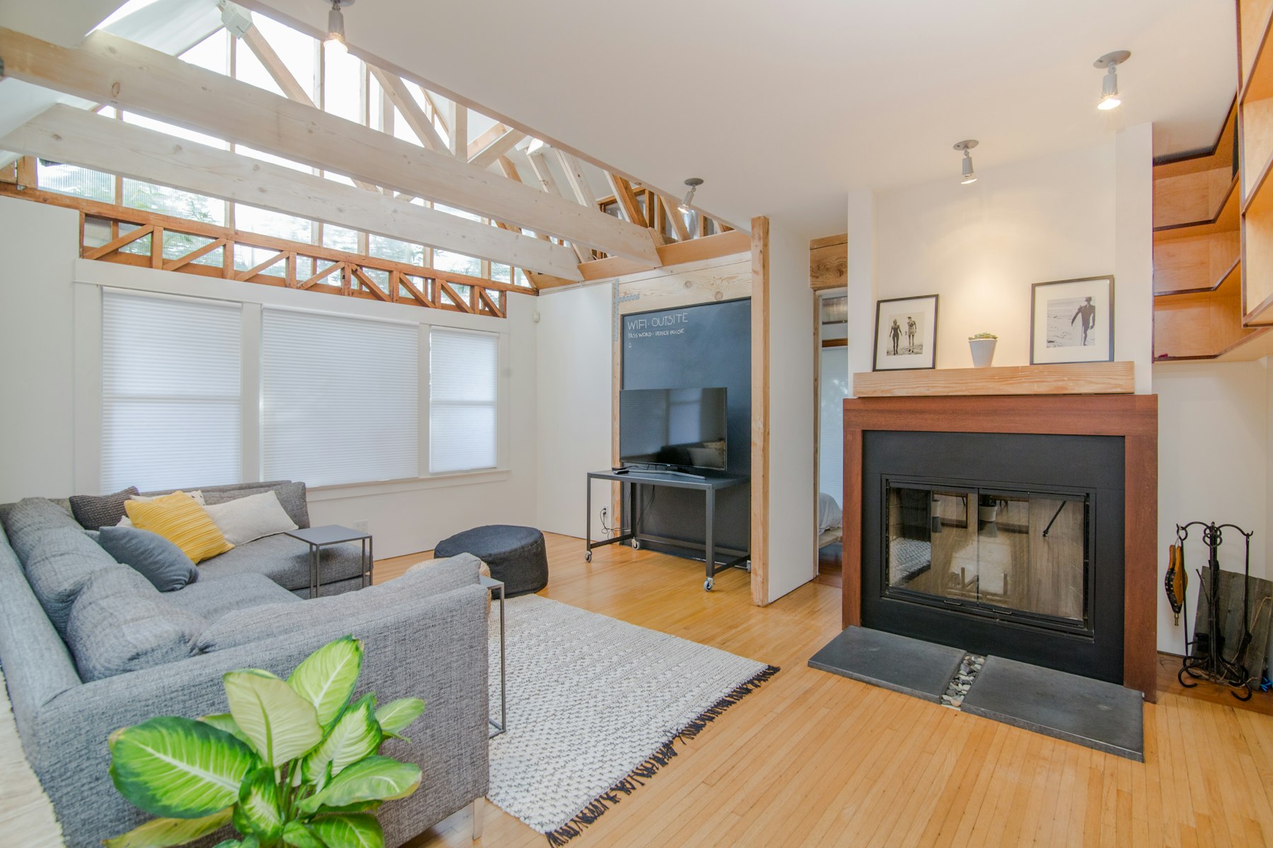Vidale founder portrait
